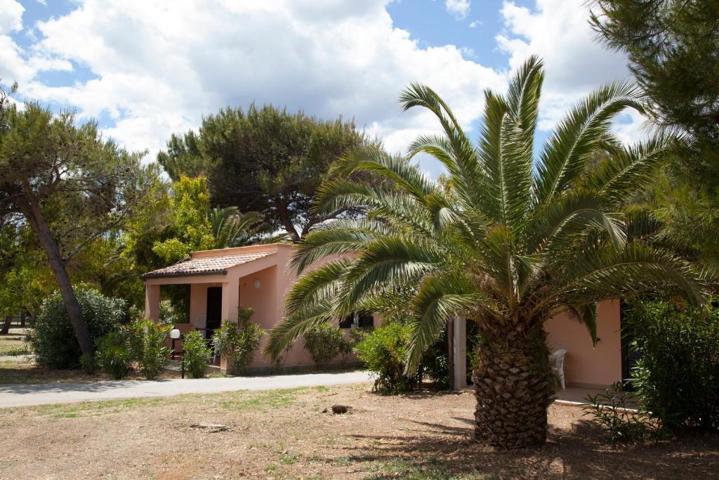 Villaggio Turistico Scialmarino Vieste Ruang foto